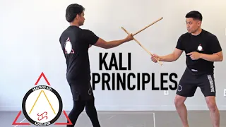8 Principles of Filipino Martial Arts | Anastacio Kali