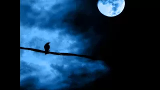Ludwig van Beethoven - Sonata Księżycowa
