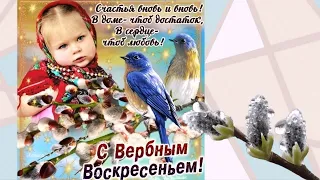 С Вербным воскресеньем 2021! Красивое поздравление с Вербным Воскресеньем🎀🌷🌷🌷