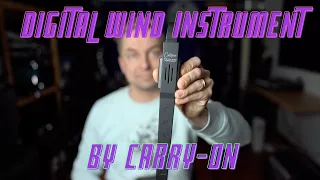 My review of the Digital Wind Instument by Carry-On