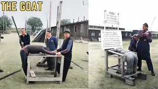 The Goat Of Auschwitz - WWII's Most BRUTAL Torture Method?