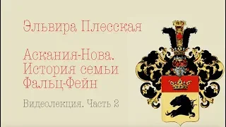 Эльвира Плесская. Аскания-Нова. История семьи Фальц-Фейн. Часть 2