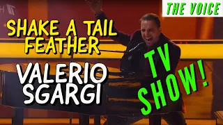 Valerio Sgargi  - Shake a Tail Feather - Live