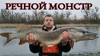 РЕЧНОЙ МОНСТР. ТРОФЕЙНАЯ ЩУКА