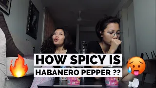 Habanero Spicy Chicken Challenge | with D