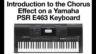 Intro to Chorus Effect on Yamaha PSR E463