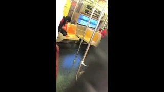 Прикол в Метро Нью Йорка  Subway NYC New York City