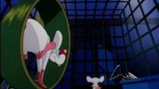 Pinky & Brain German Intro