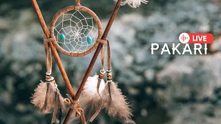 Pakari - Positive vibes music/Native Music