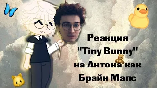 ||Реакция "Tiny Bunny" на Антона как Брайн Мапс||