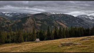 Джеймс Ласт  Самотній Пастух.