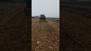 koszenie Kukurydzy New Holland z kosiarka bijakowa Zeppelin 240AP