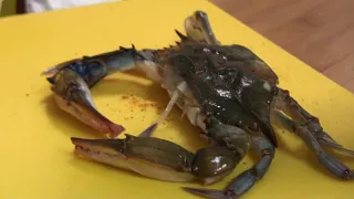 Soft Shell Crab How to cook - Southern Maryland Style