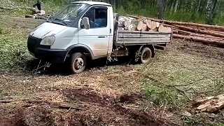 приехали в лес. дрова. крутой спуск