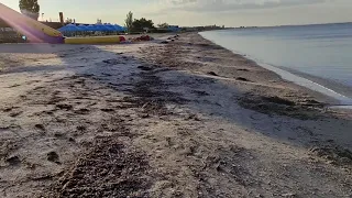 Новая Ялта: гостевой двор "Коралл" и прогулка по берегу