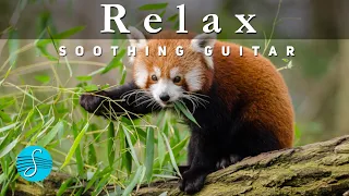 Sonome' - Soothing Guitar for Relaxation