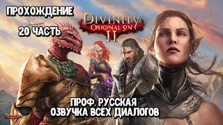 Прохождение 20: Divinity: Original Sin 2 - Проф. Русская Озвучка Всех Диалогов