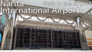 Walking in Narita International Airport | Tokyo Japan | Walk in the Airport