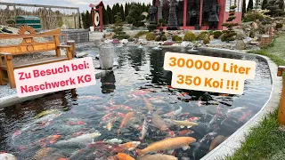 Ein Mega Koi Teich im Detail. 300000 Liter / 350 Koi / 1000 Filterbürsten!!