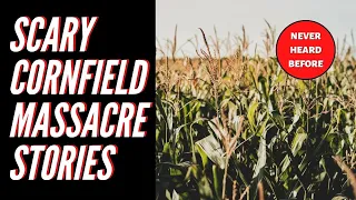 Scary Cornfield Massacre Stories that Will Give You Nightmares