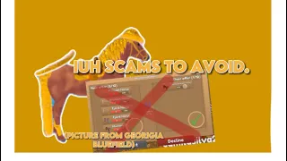 IUH scams to AVOID. || Wild Horse Islands Roblox