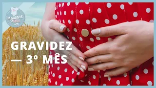 TERCEIRO MÊS DE GRAVIDEZ – O que acontece com VOCÊ E O BEBÊ | MACETES DE MÃE