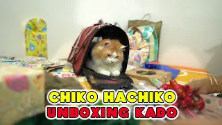 DEK CHIKO UNBOXING KADO ULTAH. #funnycats #animals #pet #cats #funnyvideos #funny