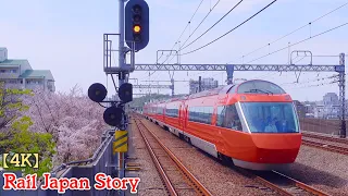 Izumi-Tamagawa Station with cherry blossoms, Tokyo, Japan, April 13, 2024