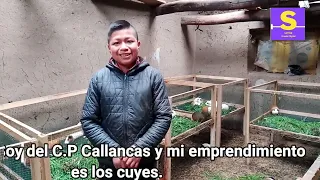 JOVEN EMPRENDE EN LA CRIANZA DE CUYES