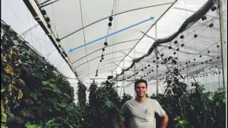 Tropical and Hot Climate Greenhouse Design: Natural Ventilation Augmented Cooling NVAC Greenhouse