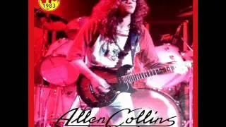 Allen Collins Band - Everything You Need