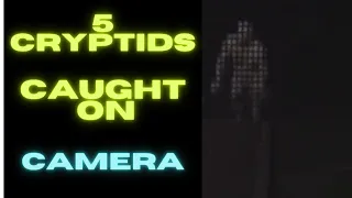 5 cryptids caught on camera