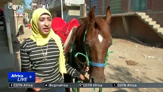 Egyptian teen thrills crowds at weddings with her dancing horse