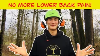 No More Lower Back Pain with Camilo Ho - TreeStuff Community Expert Video