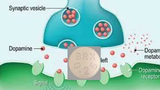 Rexulti (Brexpiprazole) a Medication for Major Depression, Schizophrenia, & Agitation in Dementia