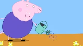 Peppa Pig English Episodes Full Episodes Compilation | #PeppaPig Season 1 Episodes #14