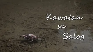 Trailer: Kawatan Sa Salog by Alphie Velasco - Cinemalaya 2021 Finalist