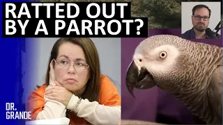 Parrot Offers Commentary on Mysterious Murder | Glenna Duram Case Analysis