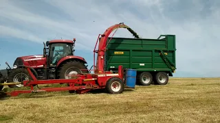 Fiat 100-90 Turbo chopping silage with JF trailed harvester