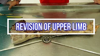 Revision of Upper Limb