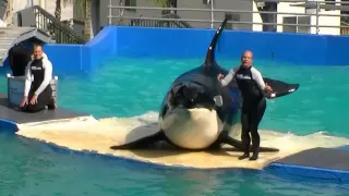 2012-11-10 - Miami Seaquarium Killer Whale Show (Part 3) [1080p]