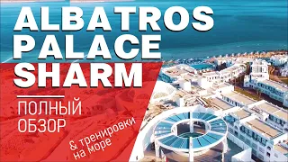 Albatros Palace Sharm - полный обзор отеля. Тренировки в Шарме - бег