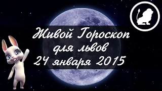 Гороскоп Лев ♌ на 24 января от Зайки Zoobe