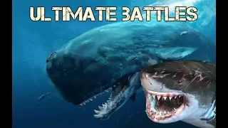 Ultimate Battles: Livyatan vs Megalodon