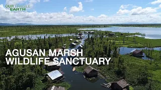 Our Fragile Earth S2E8 Agusan Marsh Wildlife Sanctuary & Mabini Protected Landscape and Seascape