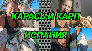 🇪🇸 КАРАСЬ И КАРП-РЫБАЛКА В ИСПАНИИ/BLACK BASS Y CARPA PESCA EN ESPAÑA