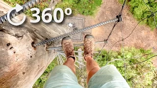 360º Climbing a 75 Meter Tree with No Rope - Pemberton - Australia 4K