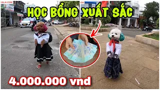 #22: SU VỚI BÔNG NHẬN ĐƯỢC "HỌC BỔNG XUẤT SẮC" | CHÚ CHÓ ĐI HAI CHÂN