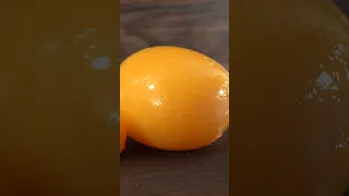 World's BIGGEST Egg YOLK!