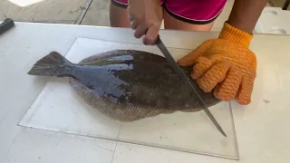 How to Filet Flounder (Fluke)